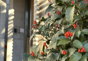 ＜冬季休暇のお知らせ＞